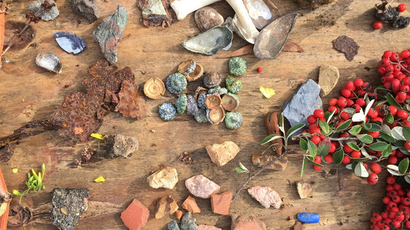 foraging, ink-making and exploring the Albany Bulb