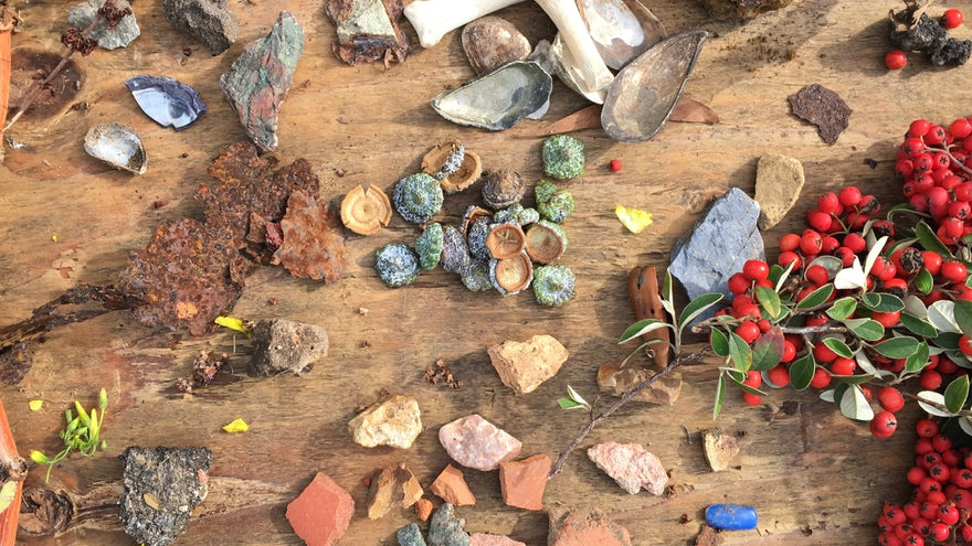 foraging, ink-making and exploring the Albany Bulb