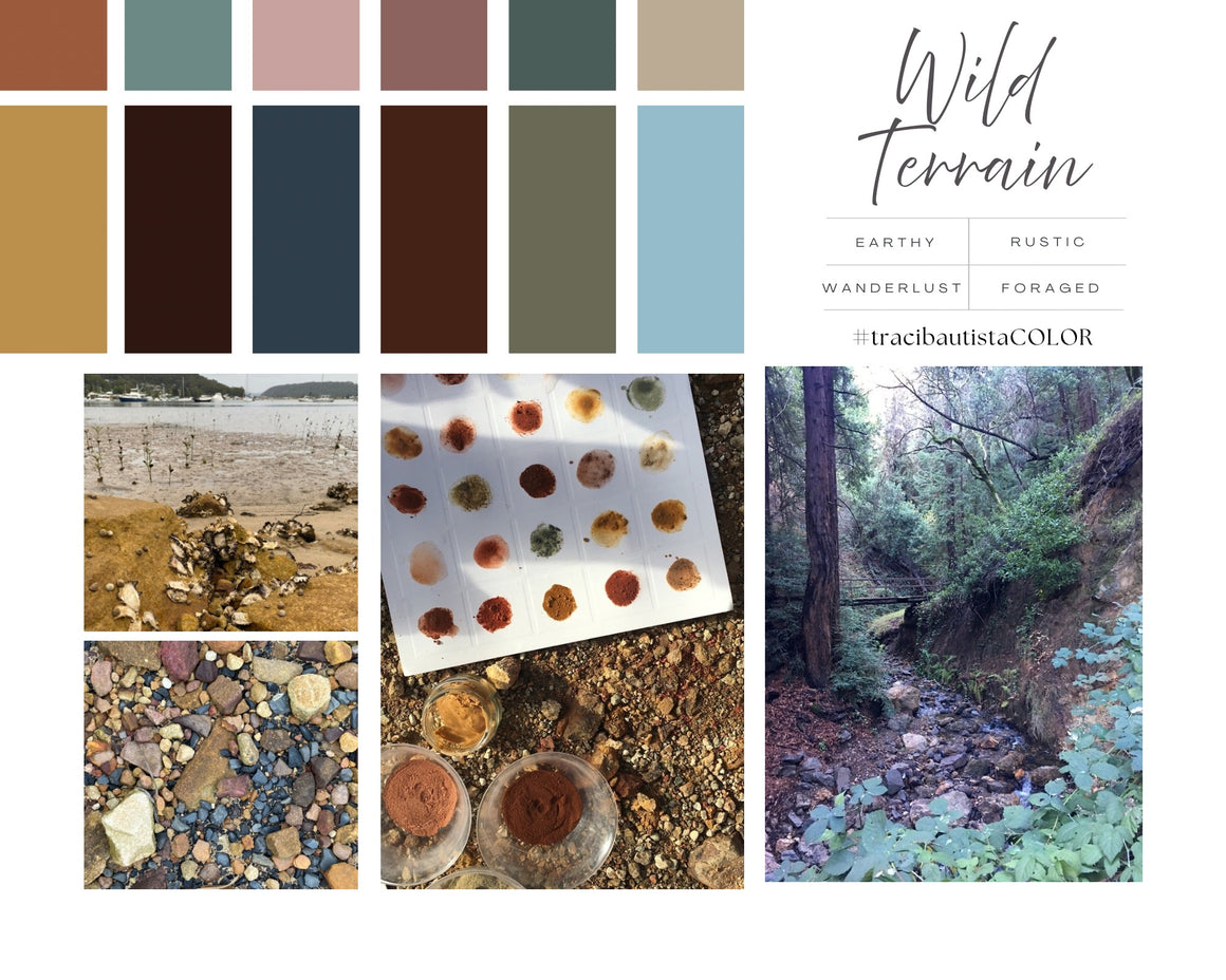 WILD TERRAIN pigment bars box {8-set} + LIVE workshop