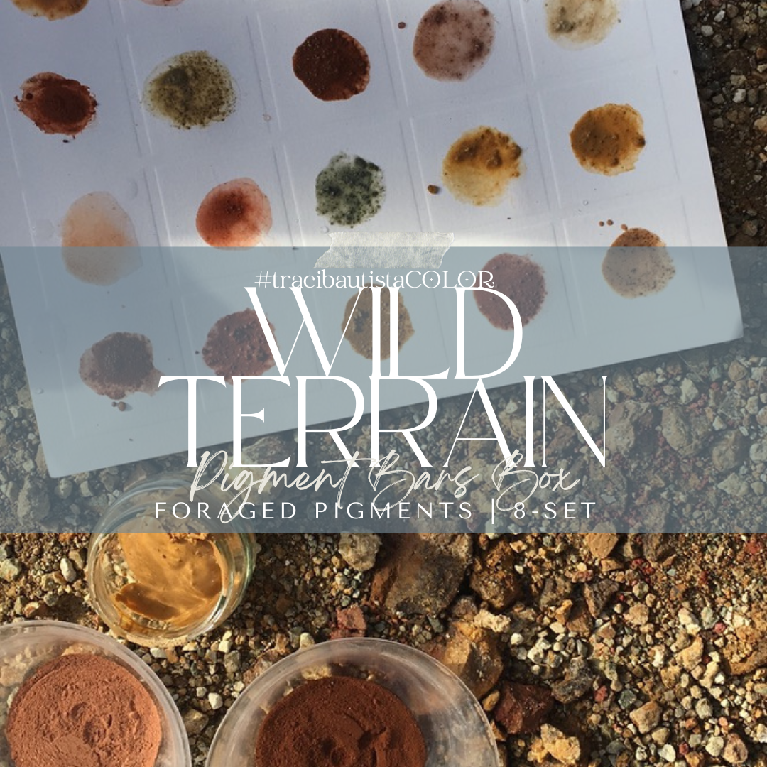 WILD TERRAIN pigment bars box {8-set} + LIVE workshop