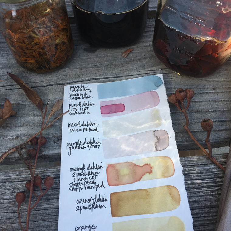 BOTANICAL wild inks {virtual workshop}