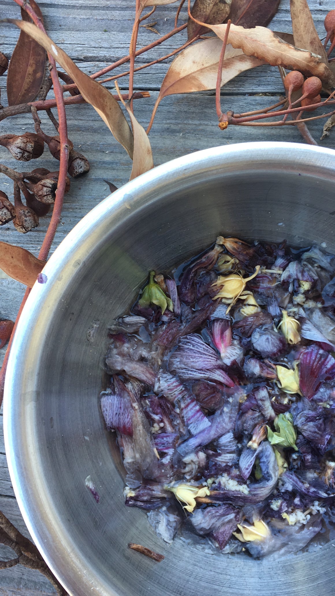 BOTANICAL wild inks {virtual workshop}